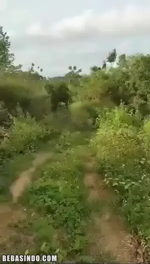 Thumbnail untuk kategori Bokep Viral di Kobel Tante